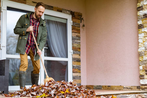 Best Electronics Removal Services  in Woodbine, NJ